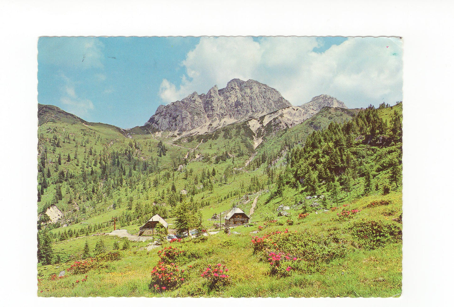Ansichtskarte Nassfeld / Watschiger Alm / Kärnten / Österreich