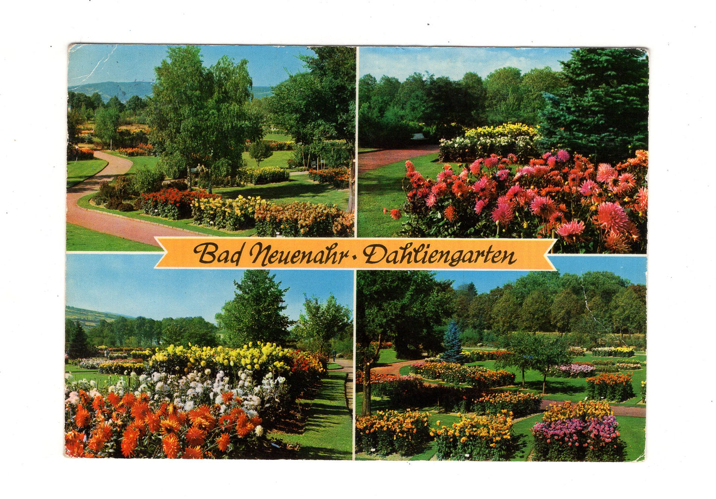 Ansichtskarte Bad Neuenahr / Dahliengarten