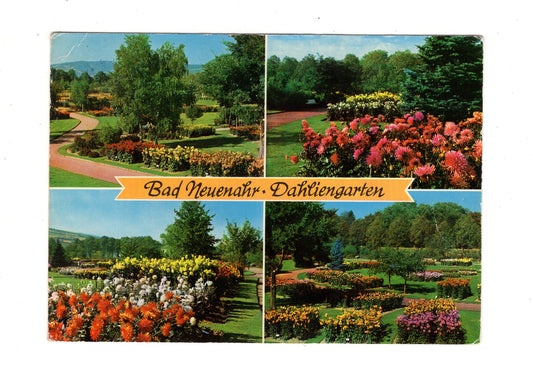 Ansichtskarte Bad Neuenahr / Dahliengarten