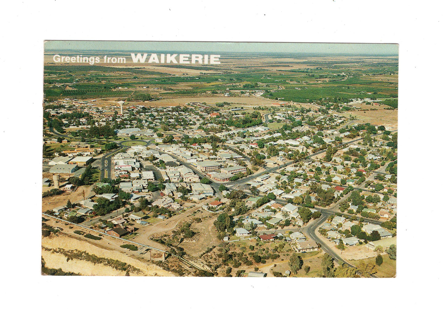 Ansichtskarte Waikerie / Australien