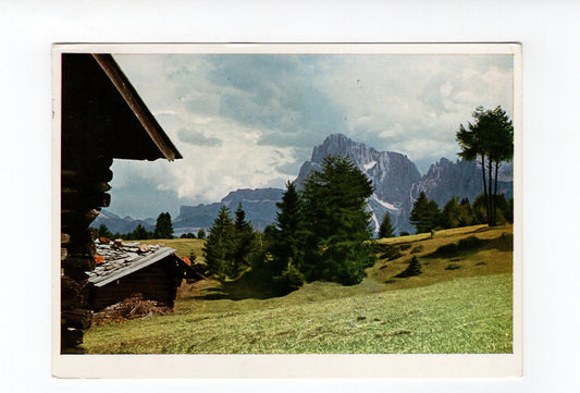 Ansichtskarte Dolomiten / Seiser Alpe mit Langkofel / Südtirol / Italien