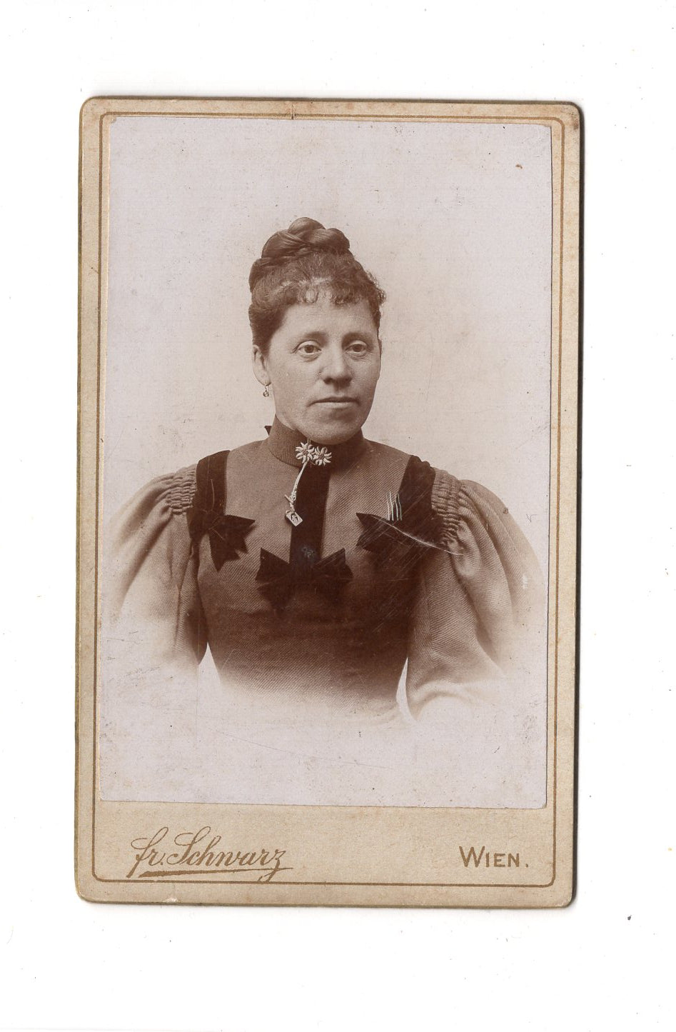 Fotografie Damenportrait - Wien um 1900 / CDV C1-05