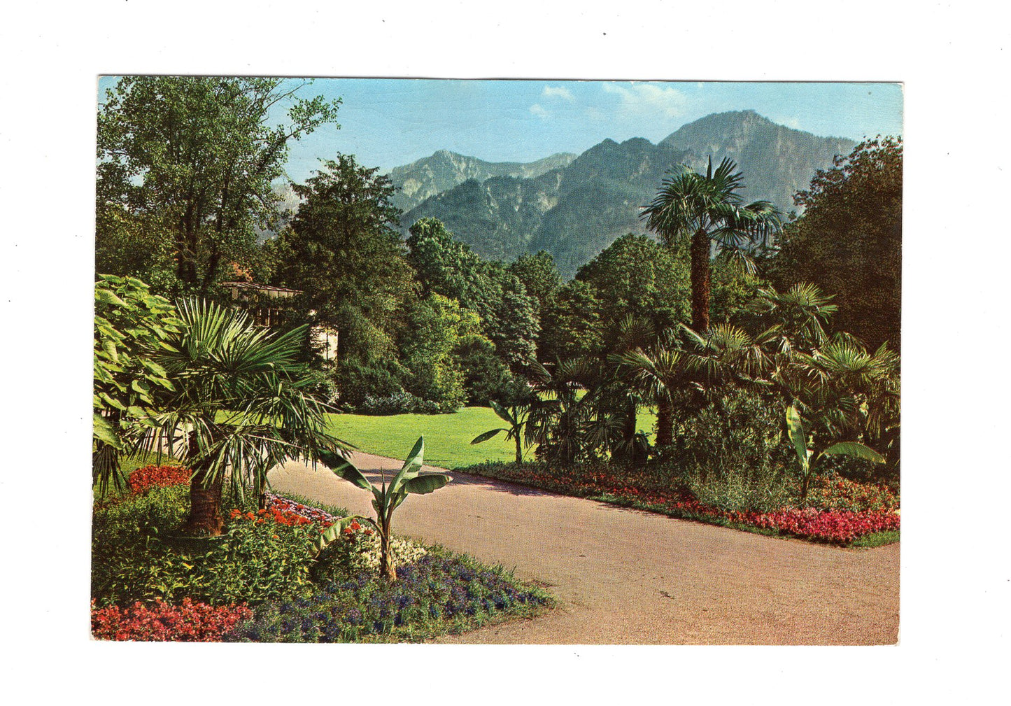 Ansichtskarte Bad Reichenhall / Kurpark