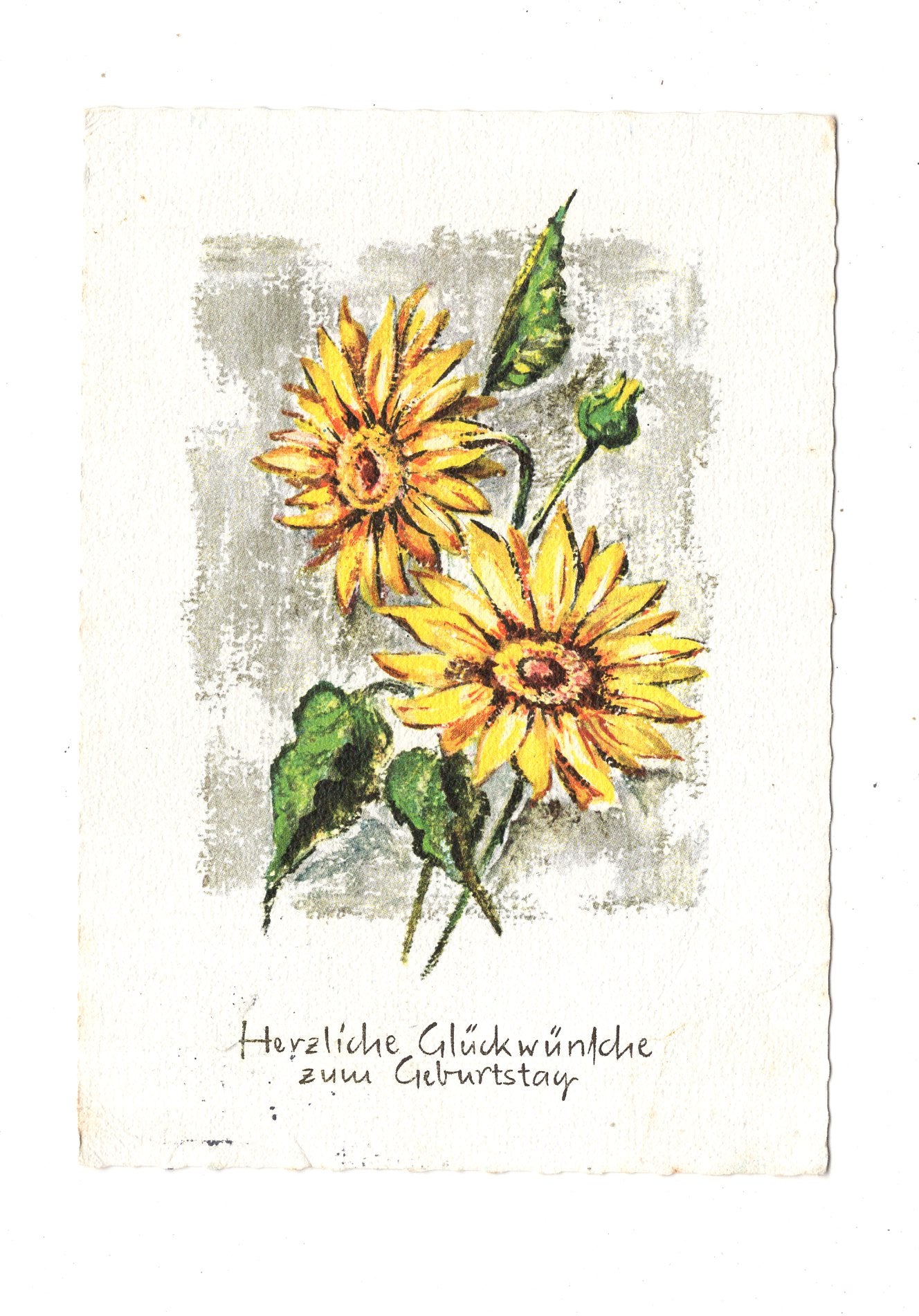 Ansichtskarte Glückwünsche / Glückwunsch zum Geburtstag / L1-58