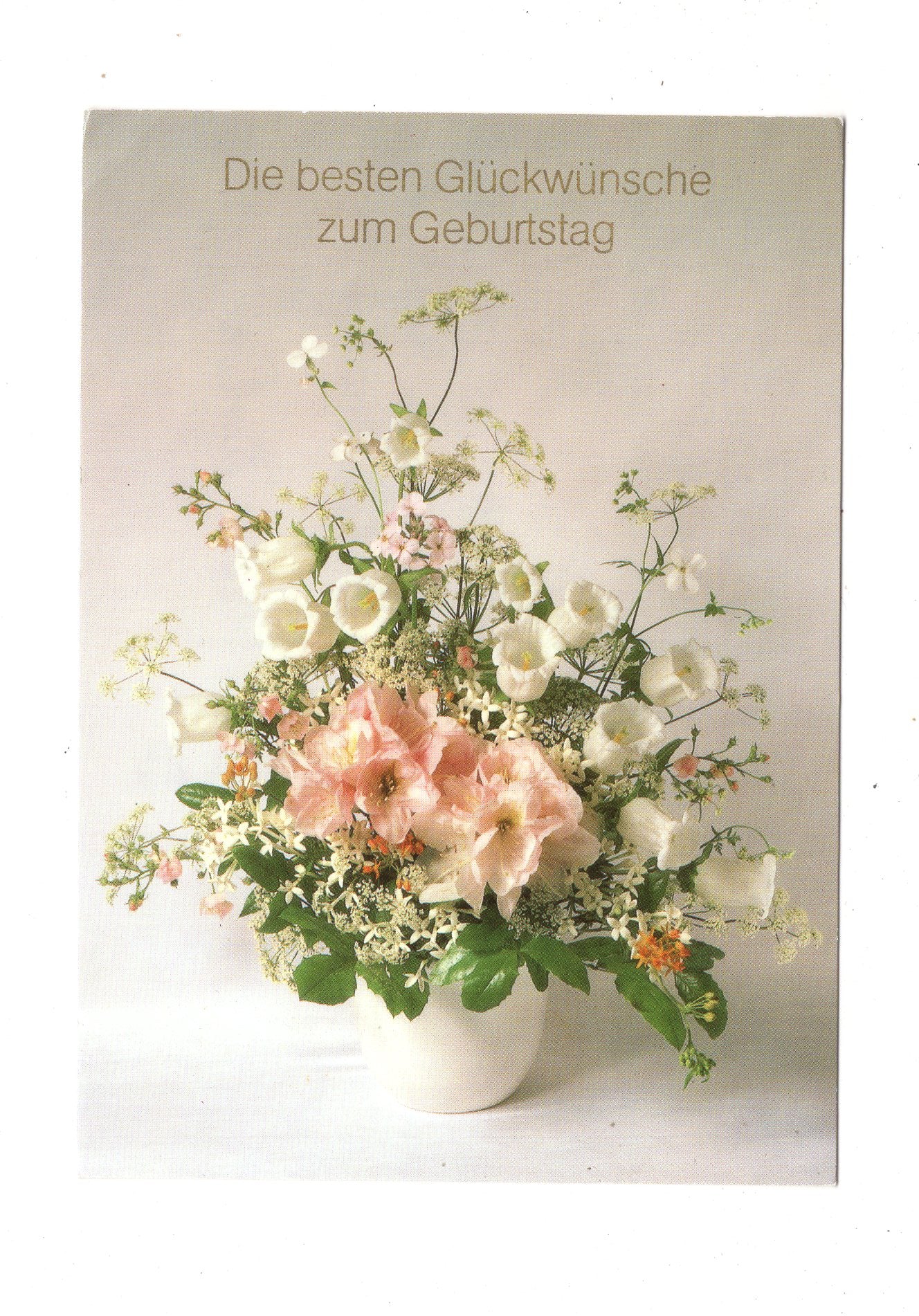 Ansichtskarte Glückwünsche / Glückwunsch zum Geburtstag / L1-58