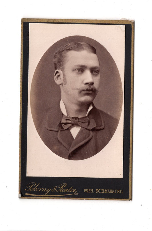 Fotografie Herrenportrait - Wien 1880er / CDV C1-23