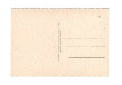 Ansichtskarte Bad Reichenhall / Marktplatz mit Stauffen