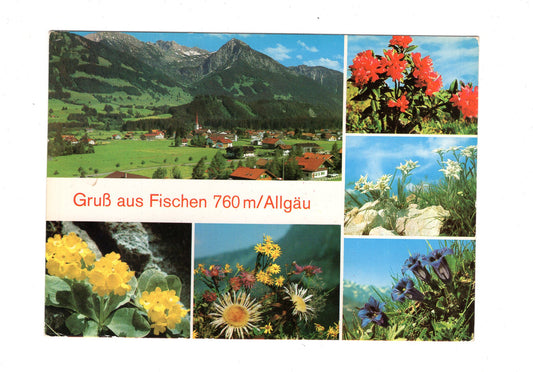 Ansichtskarte Fischen im Allgäu / H1-56