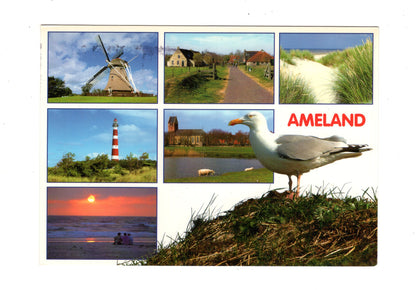 Ansichtskarte Ameland / Niederlande
