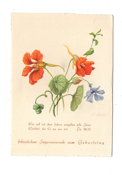 Ansichtskarte Glückwünsche / Glückwunsch zum Geburtstag / L1-58