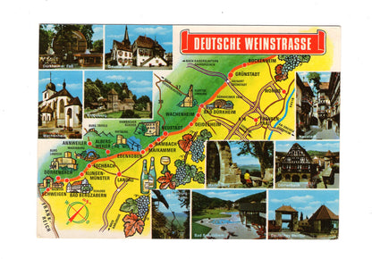 Ansichtskarte Deutsche Weinstraße / Deidesheim / Wachenheim +++