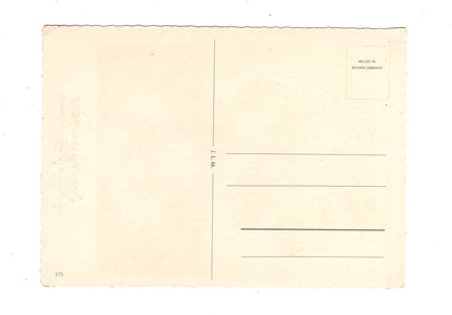 Ansichtskarte Glückwünsche / Glückwunsch zum Geburtstag / L1-58