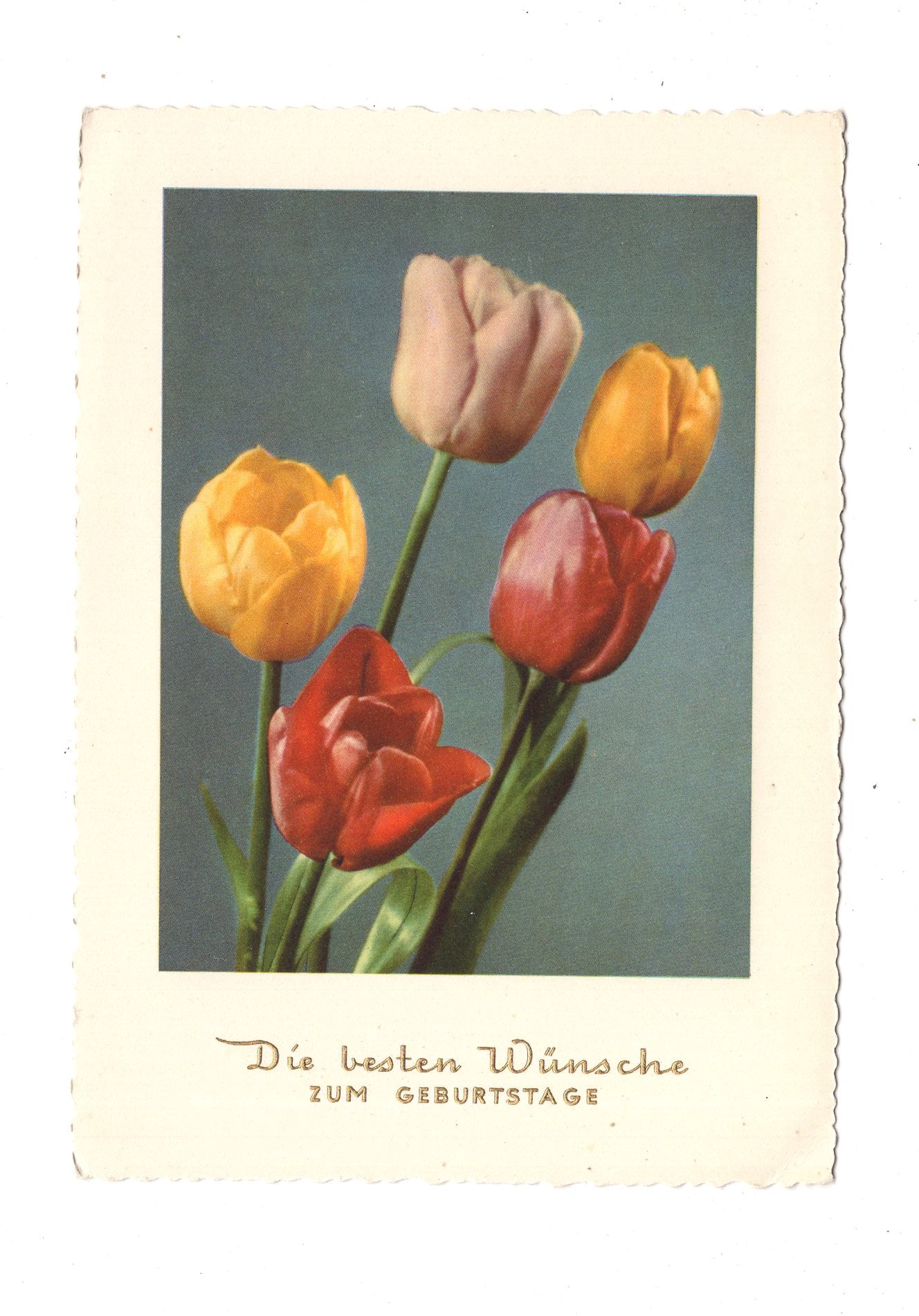 Ansichtskarte Glückwünsche / Glückwunsch zum Geburtstag / L1-58