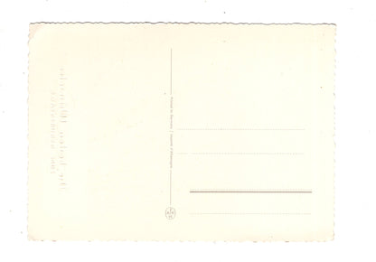 Ansichtskarte Glückwünsche / Glückwunsch zum Geburtstag / L1-58