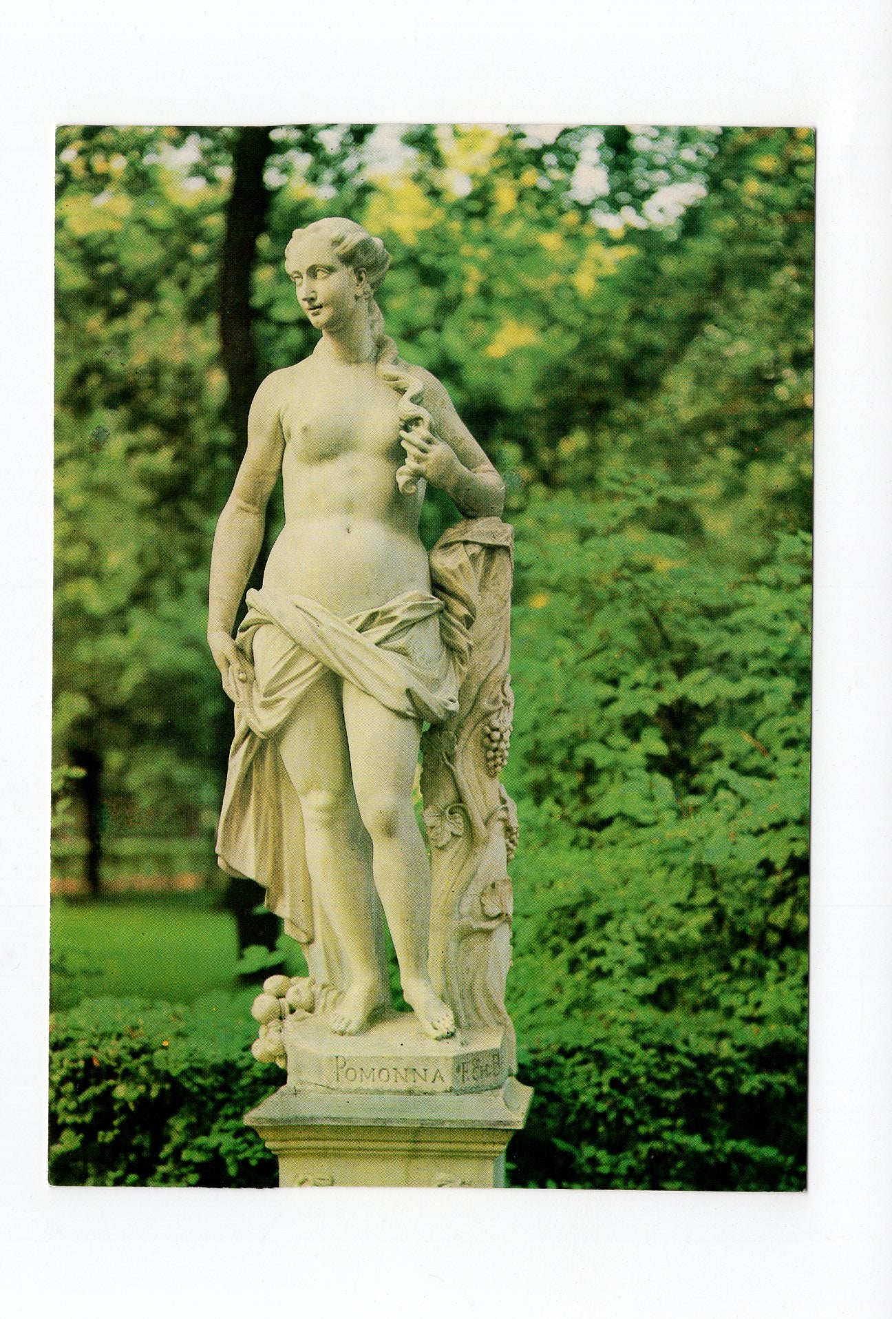 Ansichtskarte Leningrad / Summer Gardens / Russland