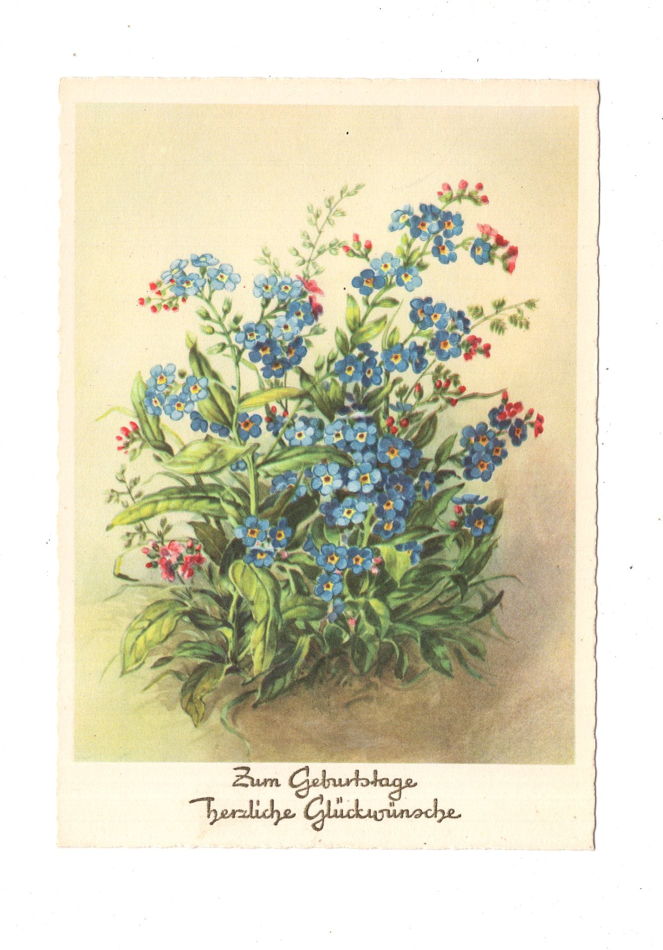 Ansichtskarte Glückwünsche / Glückwunsch zum Geburtstag / L1-58