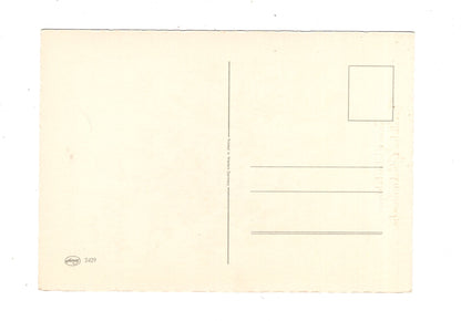 Ansichtskarte Glückwünsche / Glückwunsch zum Geburtstag / L1-58