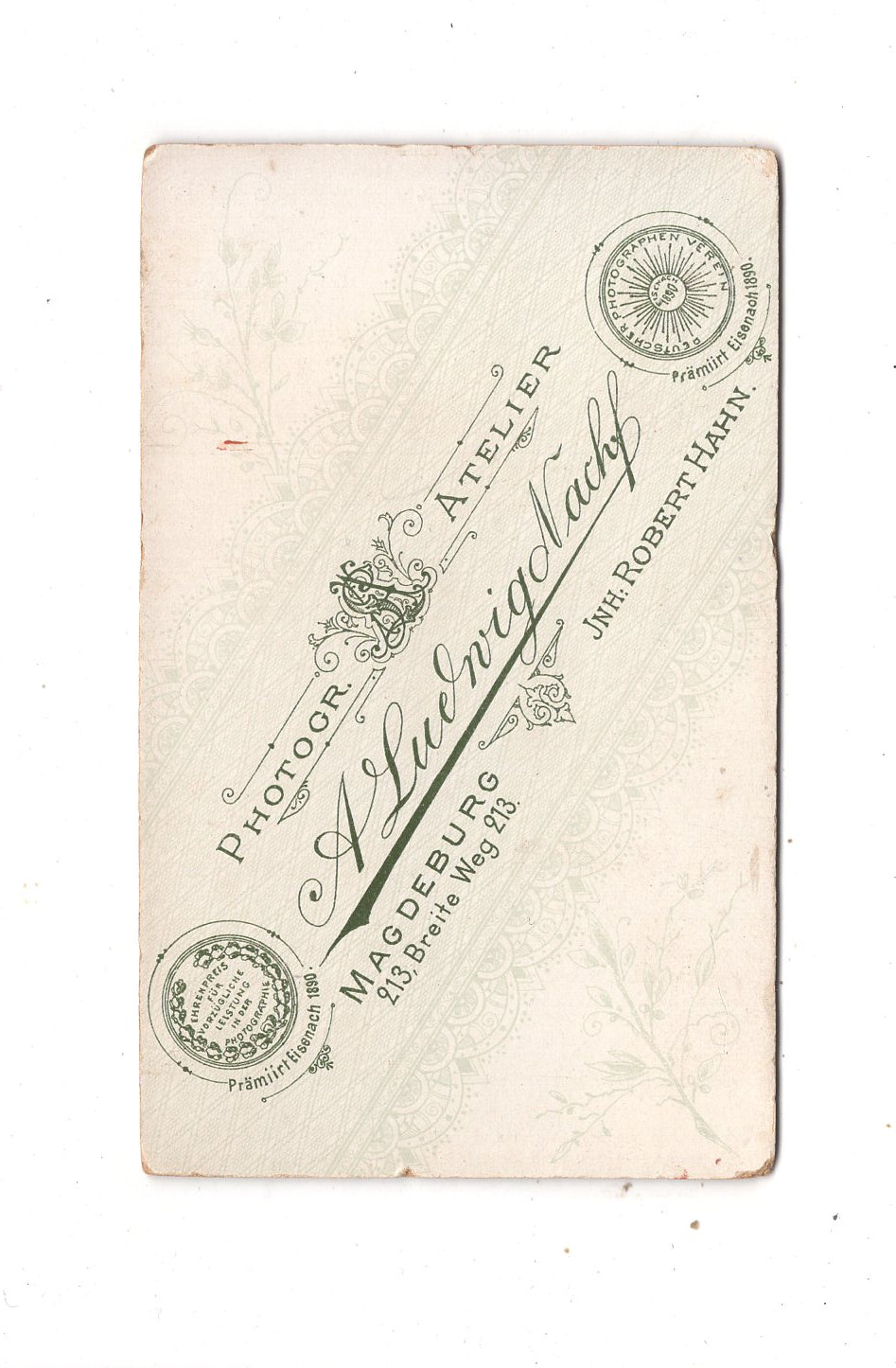 Fotografie Damenportrait - Magdeburg 1890er / CDV N1-15