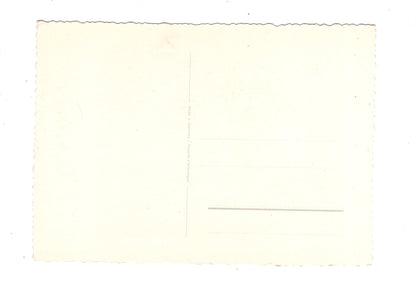 Ansichtskarte Glückwünsche / Glückwunsch zum Geburtstag / L1-58