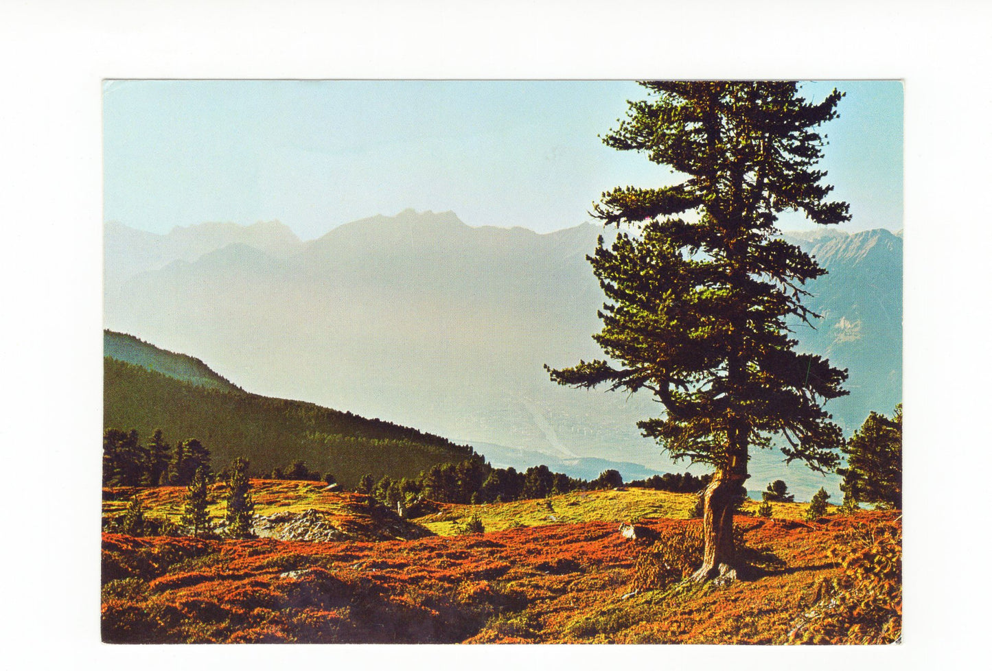 Ansichtskarte Blick vom Zirbenweg über Innsbruck / Tirol / Österreich