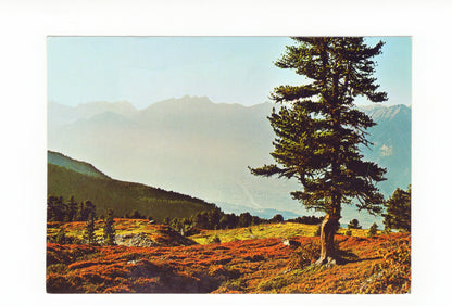 Ansichtskarte Blick vom Zirbenweg über Innsbruck / Tirol / Österreich