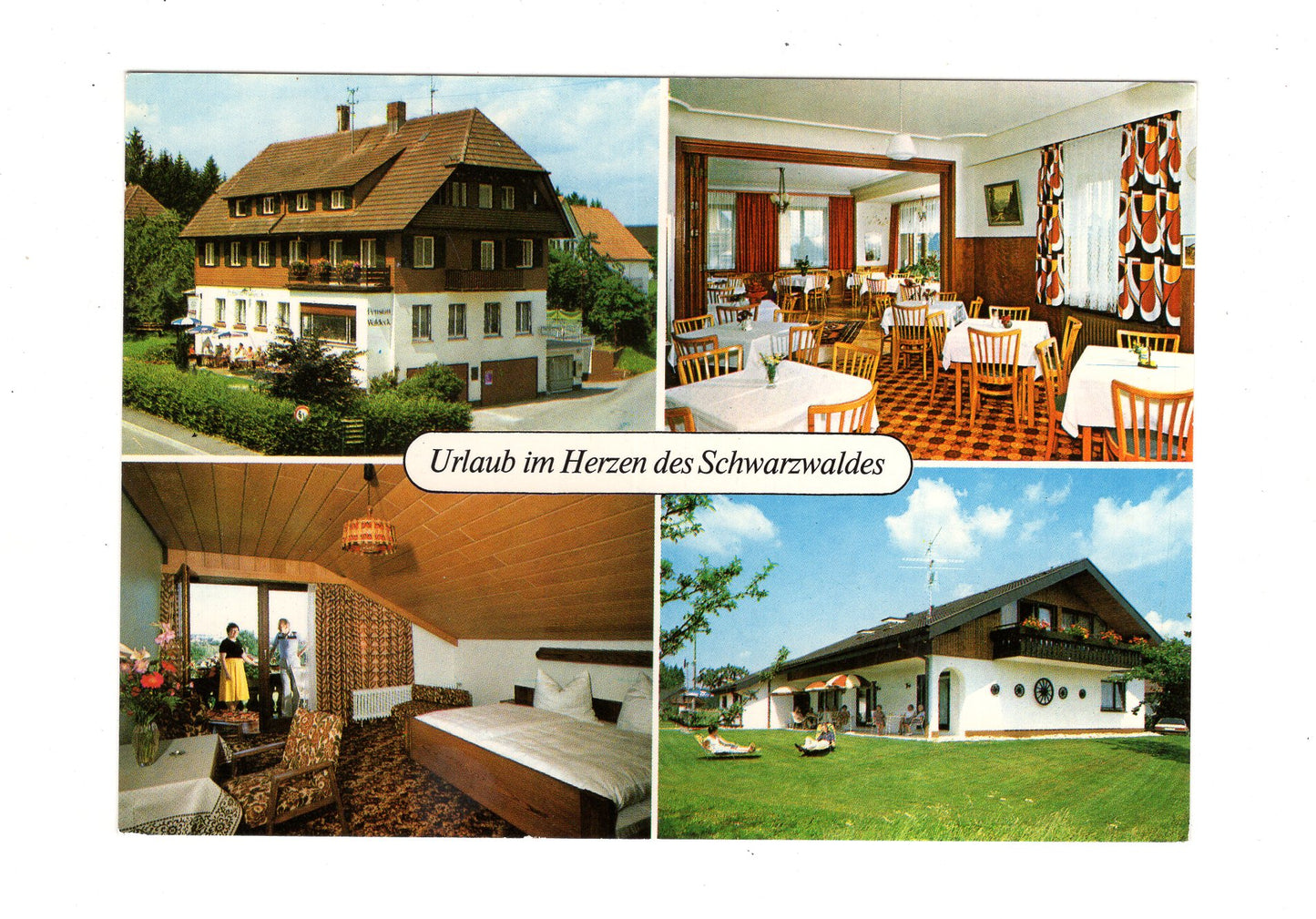 Ansichtskarte Fremdenpension Waldeck / Freudenstadt-Musbach