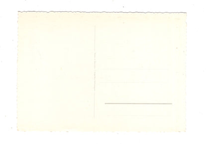 Ansichtskarte Glückwünsche / Glückwunsch zum Geburtstag / L1-59