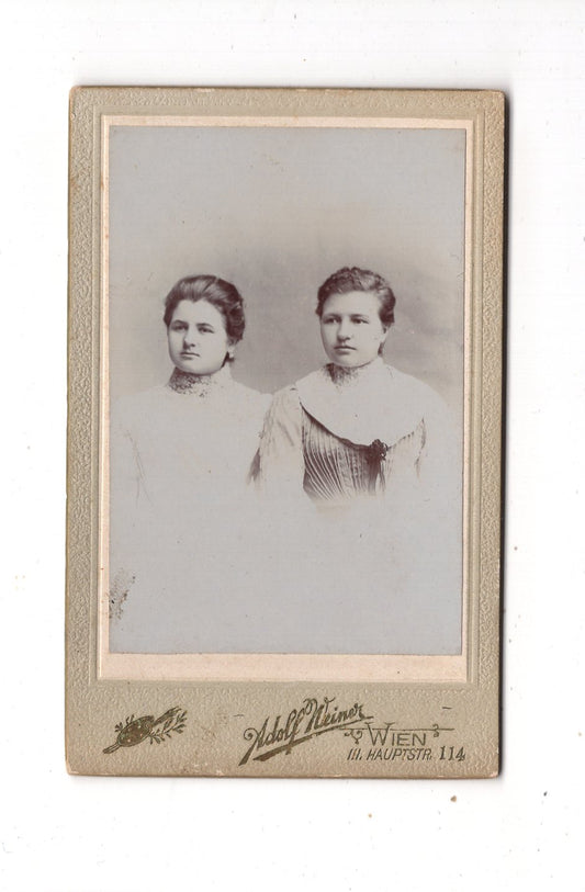 Fotografie Damenportrait - Wien um 1900 / CDV N1-16