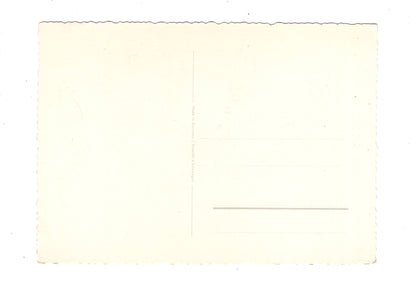 Ansichtskarte Glückwünsche / Glückwunsch zum Geburtstag / L1-59