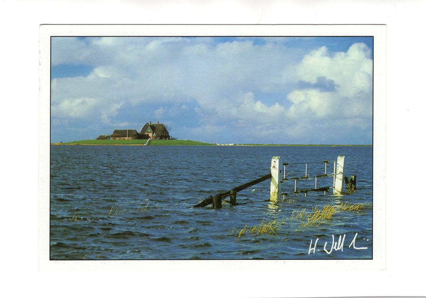 Ansichtskarte Hallig Hooge / Kirchwarft bei Landunter