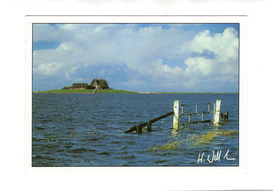 Ansichtskarte Hallig Hooge / Kirchwarft bei Landunter