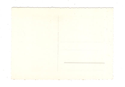 Ansichtskarte Glückwünsche / Glückwunsch zum Geburtstag / L1-59