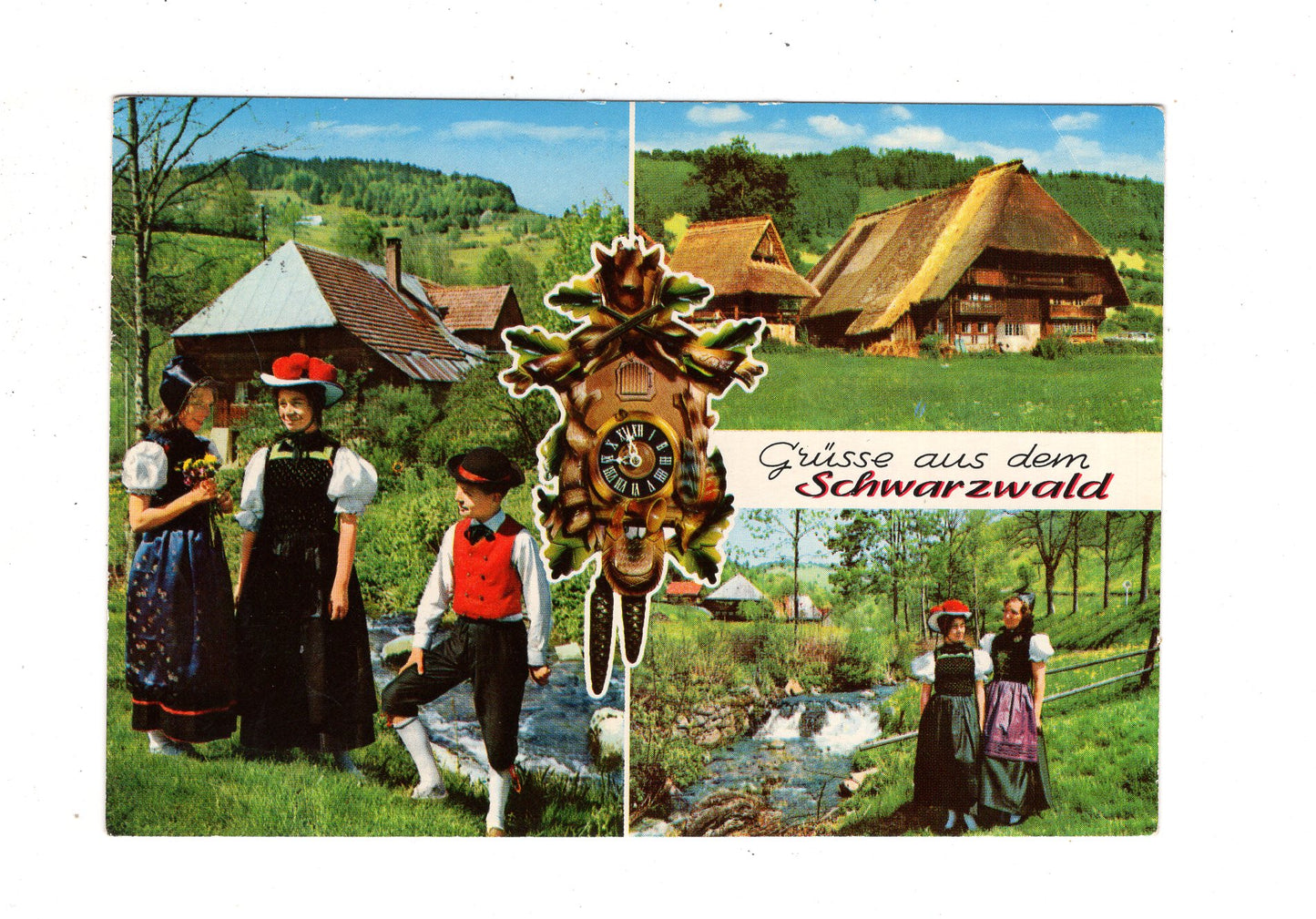 Ansichtskarte Grüße aus dem Schwarzwald / J1-68