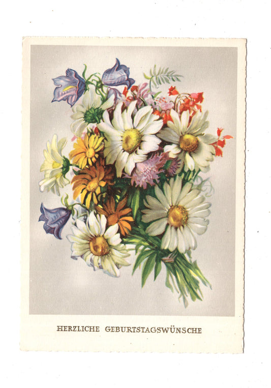 Ansichtskarte Glückwünsche / Glückwunsch zum Geburtstag / L1-59