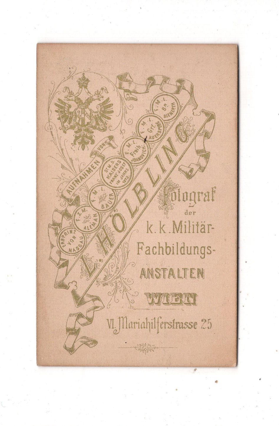 Fotografie Damenportrait - Wien um 1880 / CDV N1-16