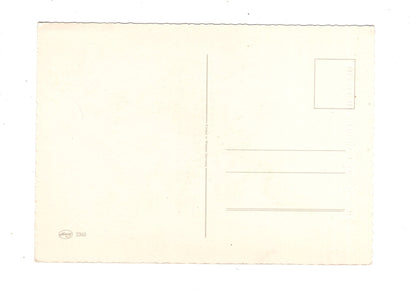 Ansichtskarte Glückwünsche / Glückwunsch zum Geburtstag / L1-59