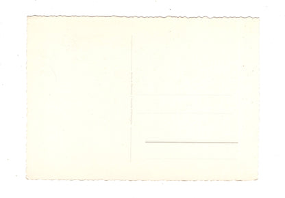 Ansichtskarte Glückwünsche / Glückwunsch zum Geburtstag / L1-59