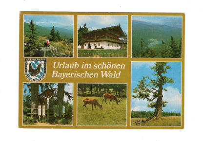 Ansichtskarte Bayerischer Wald