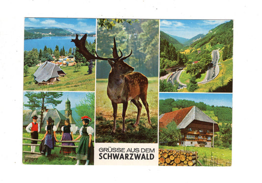 Ansichtskarte Grüße aus dem Schwarzwald / J1-68