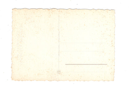 Ansichtskarte Glückwünsche / Glückwunsch zum Geburtstag / L1-59