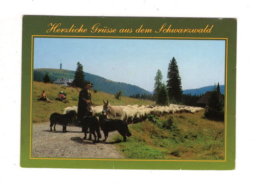 Ansichtskarte Grüße aus dem Schwarzwald / J1-68