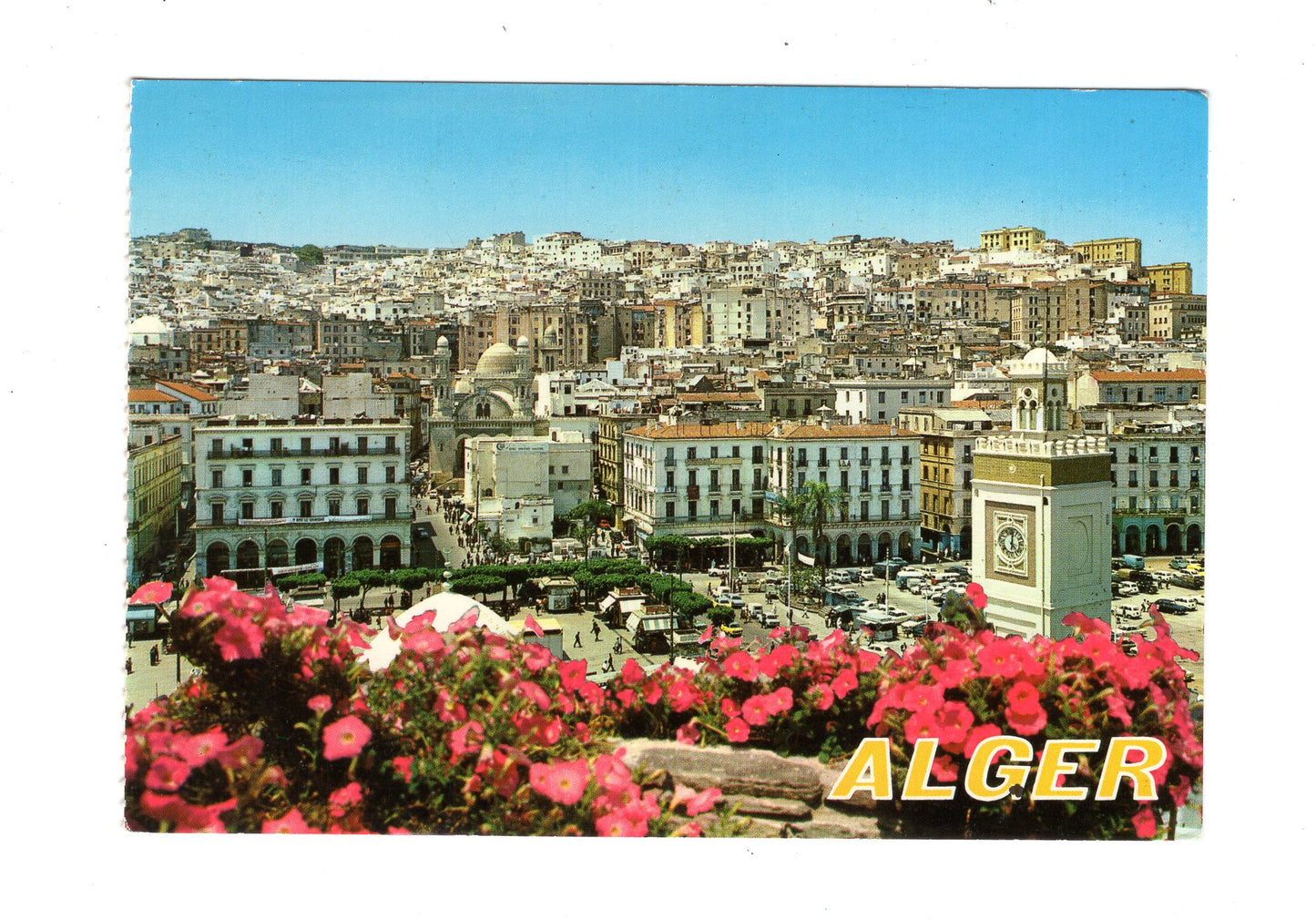 Ansichtskarte Algier / Alger-La-Blanche / Algerien
