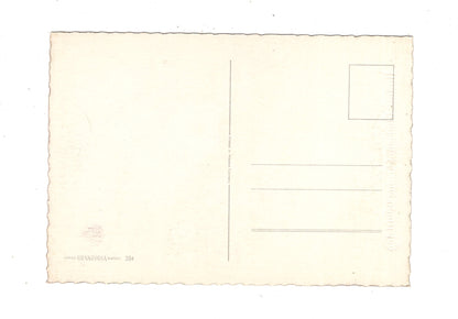 Ansichtskarte Glückwünsche / Glückwunsch zum Geburtstag / L1-59