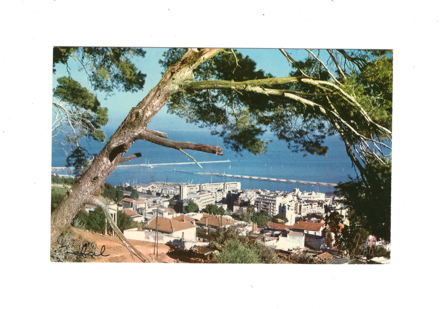 Ansichtskarte Algier / Algerien