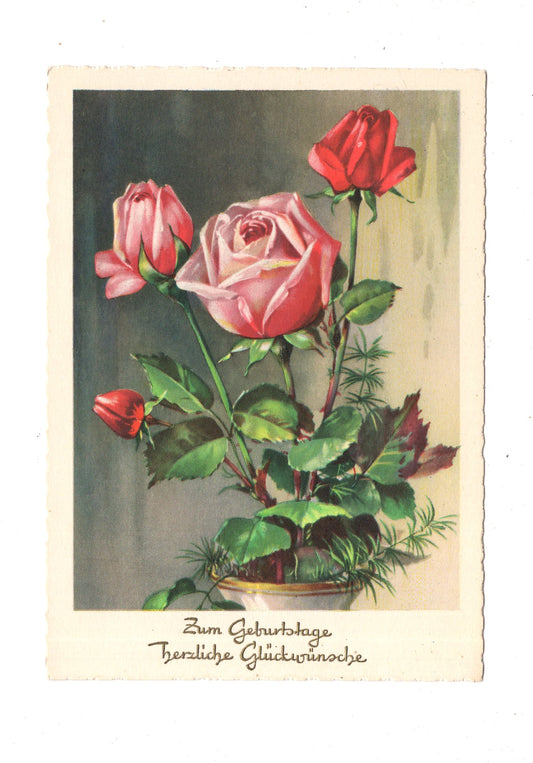 Ansichtskarte Glückwünsche / Glückwunsch zum Geburtstag / L1-59