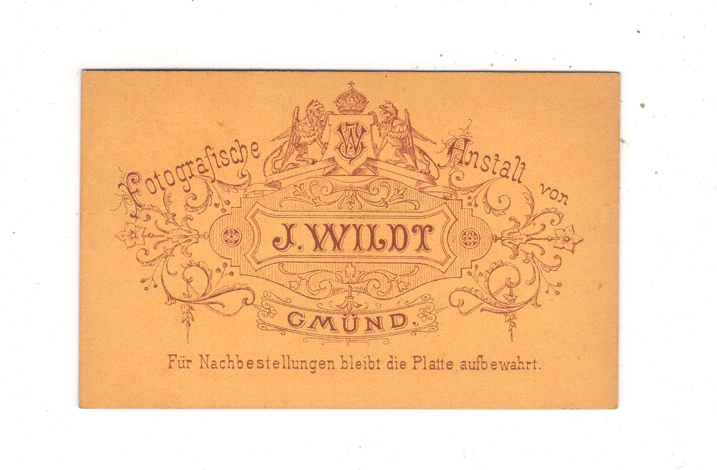 Fotografie Damenportrait - Gmünd um 1870 / CDV N1-16