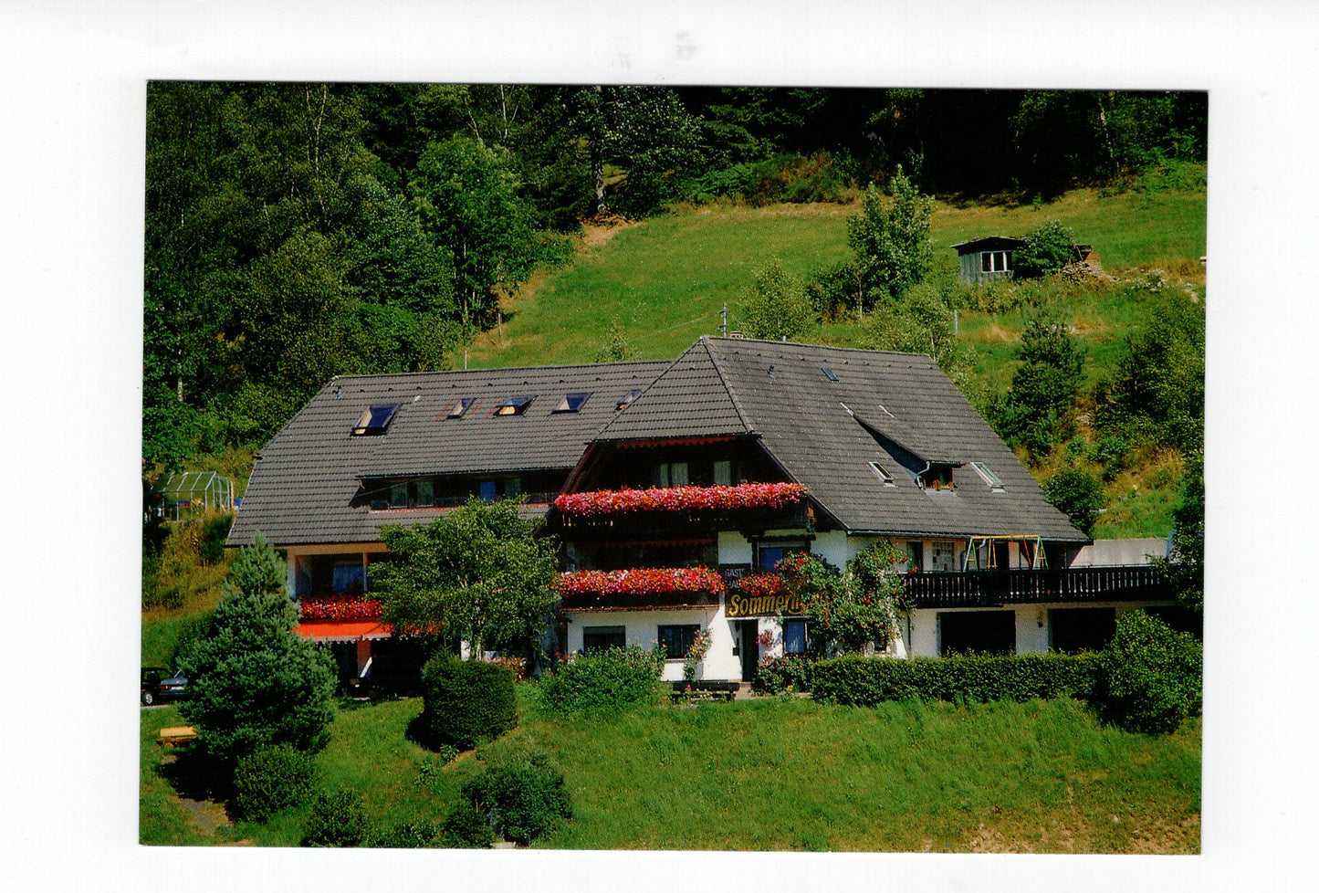 Ansichtskarte Bad Rippoldsau / Schwarzwald / Gästehaus am Sommerhang