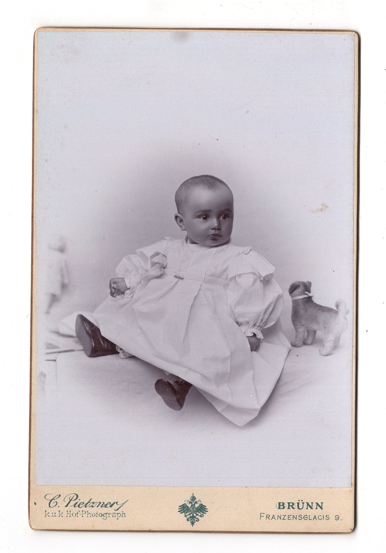 Fotografie Schönes Kinderbild / Baby - Brno Brünn 1890er / CAB U-24