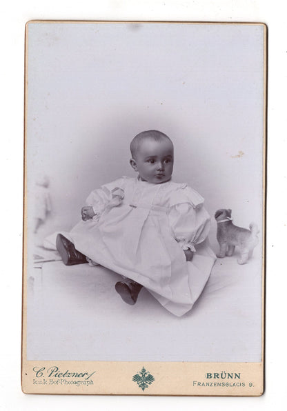 Fotografie Schönes Kinderbild / Baby - Brno Brünn 1890er / CAB U-24