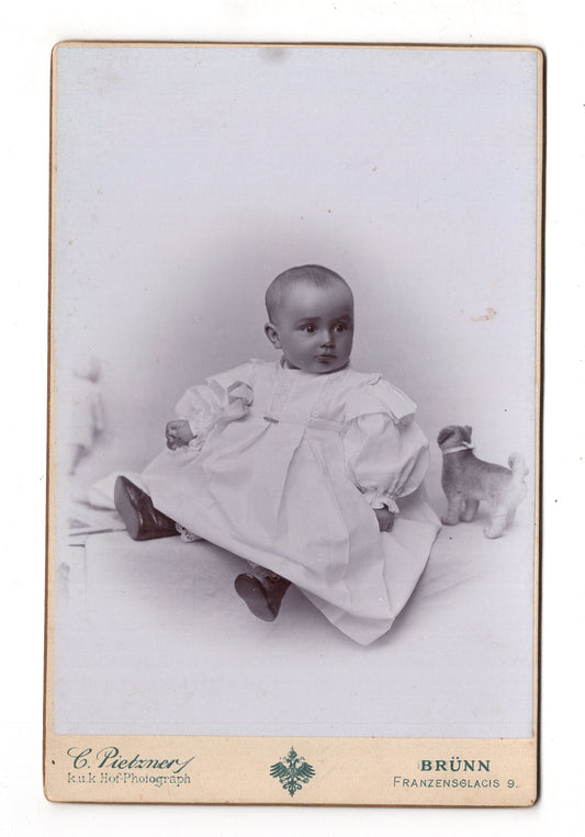 Fotografie Schönes Kinderbild / Baby - Brno Brünn 1890er / CAB U-24